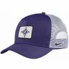 * Headwear | Nike Men'S Furman Paladins Purple Classic99 Trucker Hat